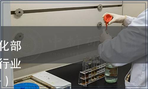 中華人民共和國工業和信息化部公告|250項行業標準和11項行業標準外文版（2021年第21號）