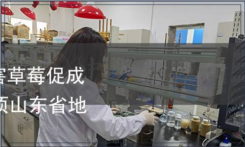 關于批準發布《無公害草莓促成栽培技術規程》等47項山東省地方標準的公告