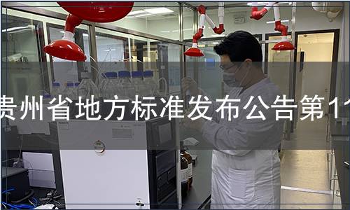 貴州省地方標(biāo)準(zhǔn)發(fā)布公告第119號