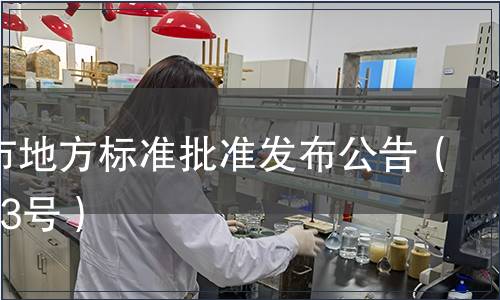 深圳市地方標準批準發布公告（總第13號）