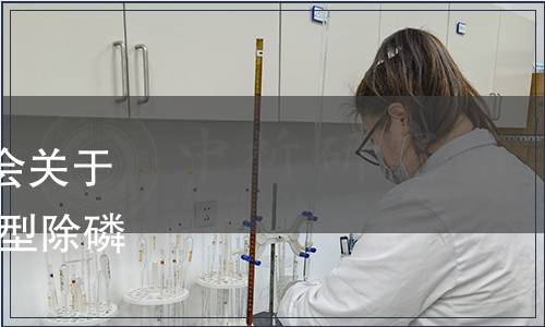 四川省水污染治理服務協會關于批準發布《水處理劑 復合型除磷劑》團體標準的公告