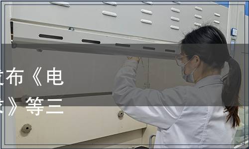 東莞市標準化協會關于發布《電子商務平臺商家入駐要求》等三項團體標準的公告