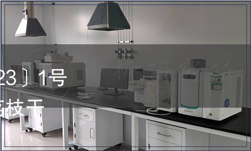 廣州市地方標準通告〔2023〕1號（總第71號） |《糯米糍荔枝干》等5項廣州市地方標準