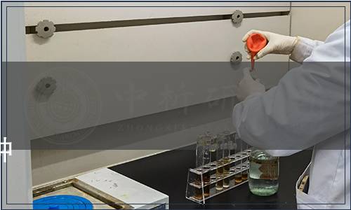 內(nèi)蒙古自治區(qū)市場監(jiān)督管理局《2023年第17號》|《大棚番茄套種根用芥菜技術(shù)規(guī)程》等40項地方標(biāo)準(zhǔn)