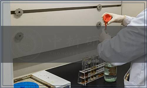 廣東省蔬菜產業協會關于發布《海陵珍珠馬蹄全產業鏈標準體系 標準化栽培技術規程》等6項團體標準的公告（粵蔬協字【2023】48號）