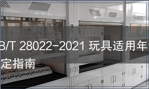 GB/T 28022-2021 玩具適用年齡判定指南