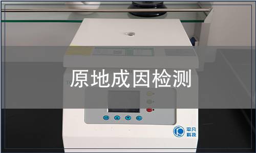 原地成因檢測(cè)