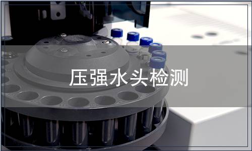 壓強(qiáng)水頭檢測
