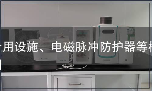 專用設(shè)施、電磁脈沖防護(hù)器等檢測(cè)