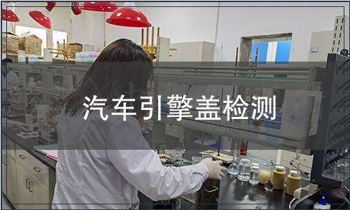 汽車引擎蓋檢測