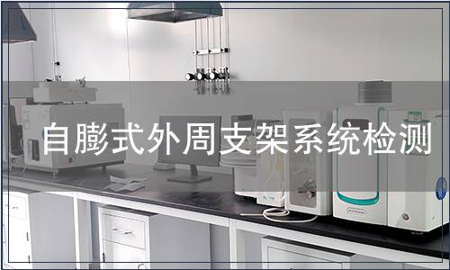 自膨式外周支架系統(tǒng)檢測