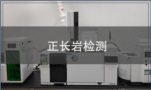 正長巖檢測