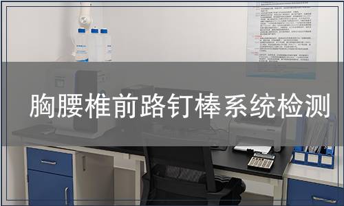 胸腰椎前路釘棒系統檢測