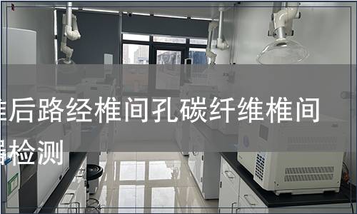 胸腰椎后路經椎間孔碳纖維椎間融合器檢測