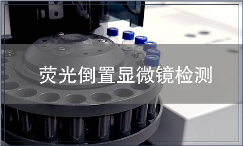 熒光倒置顯微鏡檢測