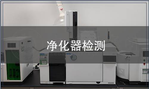 凈化器檢測(cè)