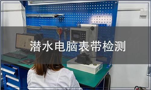 潛水電腦表帶檢測