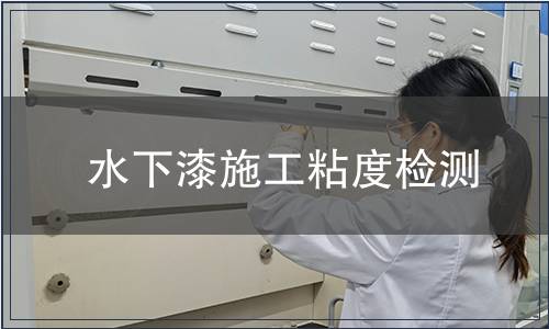 水下漆施工粘度檢測