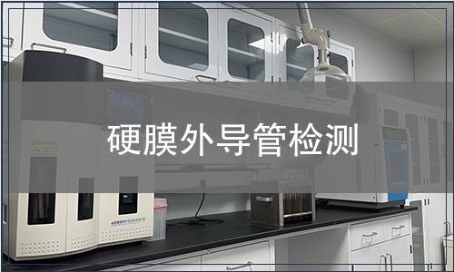 硬膜外導(dǎo)管檢測(cè)