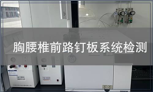 胸腰椎前路釘板系統(tǒng)檢測