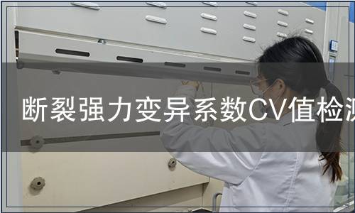 斷裂強力變異系數CV值檢測