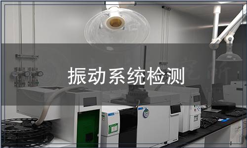 振動系統(tǒng)檢測