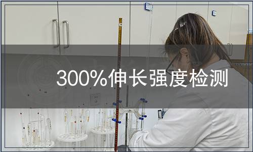 300%伸長強度檢測