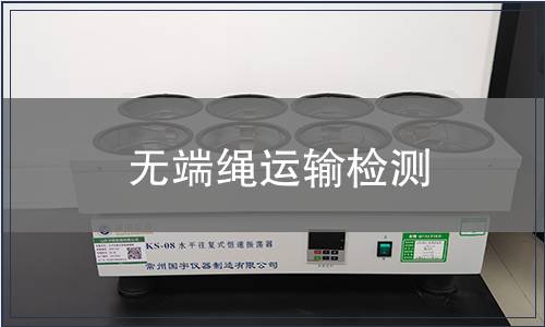 無端繩運輸檢測