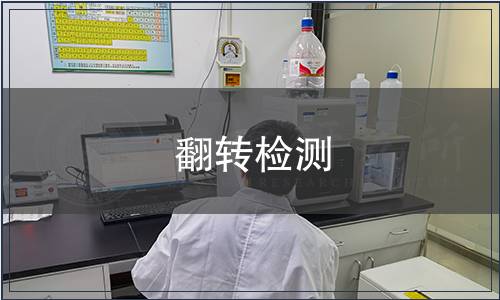 翻轉(zhuǎn)檢測(cè)