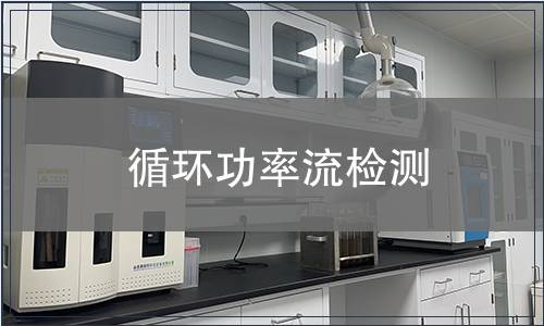 循環(huán)功率流檢測