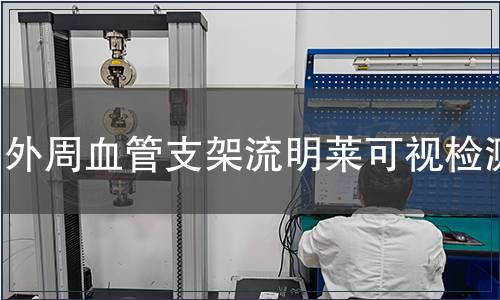 外周血管支架流明萊可視檢測