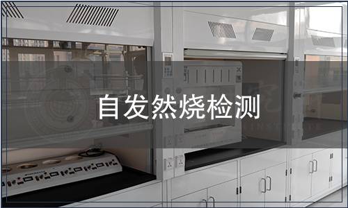 自發然燒檢測