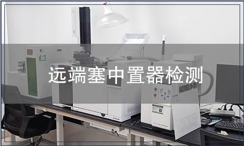 遠端塞中置器檢測