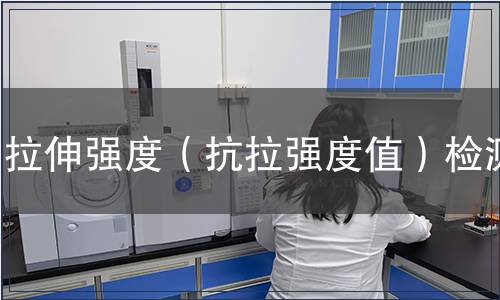 拉伸強度（抗拉強度值）檢測