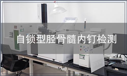 自鎖型脛骨髓內(nèi)釘檢測