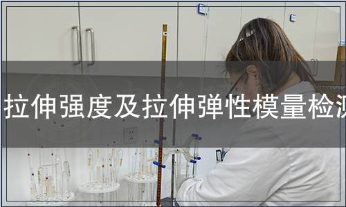 拉伸強度及拉伸彈性模量檢測