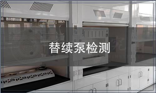 替續(xù)泵檢測