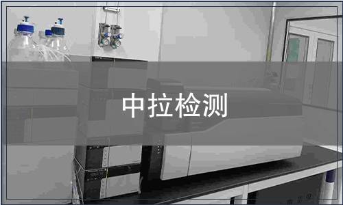 中拉檢測(cè)