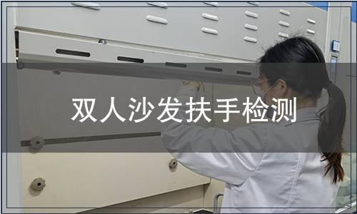 雙人沙發扶手檢測