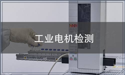 工業(yè)電機(jī)檢測