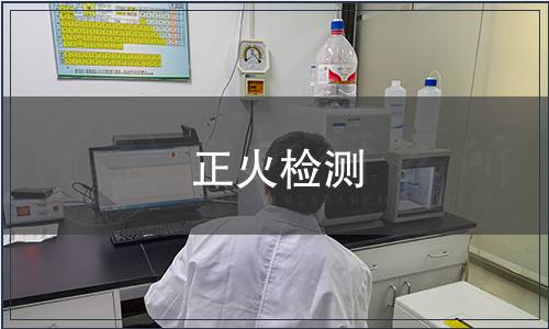 正火檢測