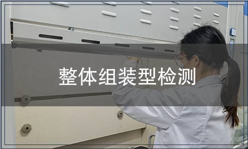 整體組裝型檢測