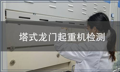 塔式龍門起重機檢測