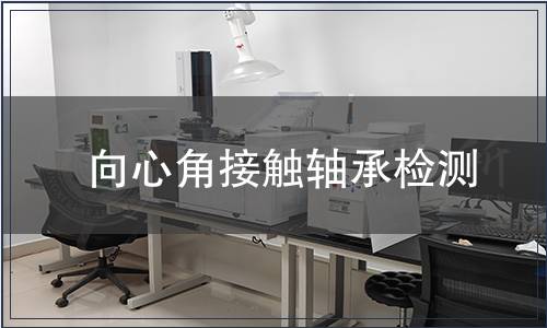 向心角接觸軸承檢測(cè)