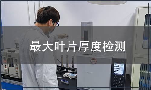 最大葉片厚度檢測