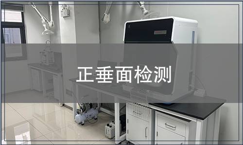正垂面檢測(cè)