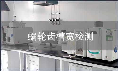 蝸輪齒槽寬檢測