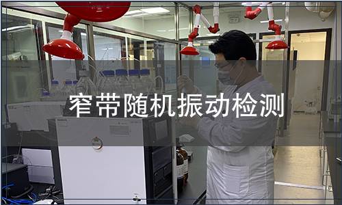 窄帶隨機振動檢測