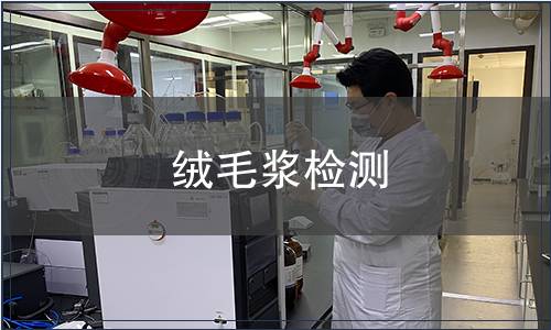 絨毛漿檢測(cè)