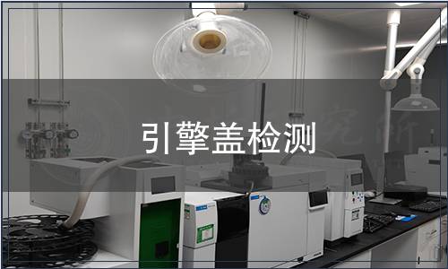 引擎蓋檢測(cè)